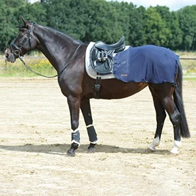 Image of Busse Training rug Fly