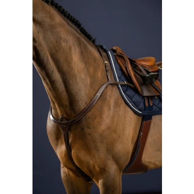 Image of Dyon Breastplate long bridge