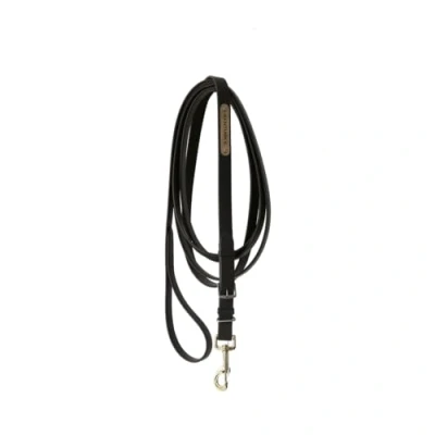 Image of Kentucky Stallion presentation chain 4m