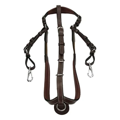 Image of Dyon Bridge Breastplate Working By Collection