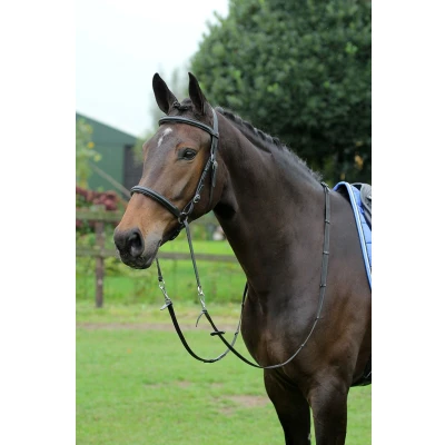 Image of Horka Bitless Bridle