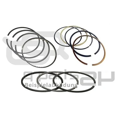 Image of Piston Ring Kit KOLBENSCHMIDT 800073910025