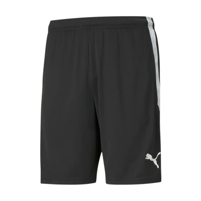 Image of Puma Herren Shorts Teamliga Training