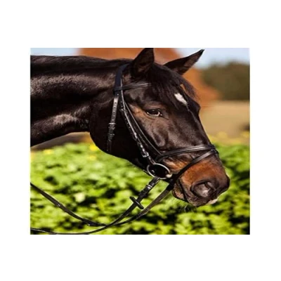Image of Kerbl 321743 Standard Bridle Leather for Thoroughbred Horses Brown