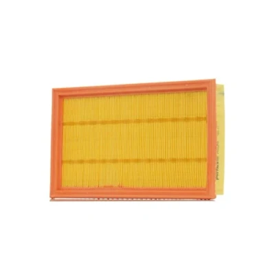 Image of Air Filter PURFLUX A838