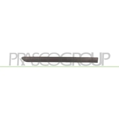 Image of Trim/Protection Strip, door PRASCO VG0361453