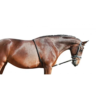 Image of QHP Lunging Aid