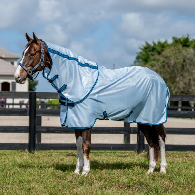 Image of Amigo Bug Rug Plus