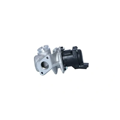 Image of EGR Valve NRF 48320