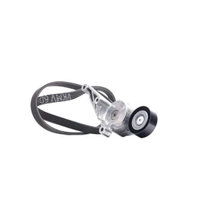 Image of V Ribbed Belt Set SKF VKMA 31091