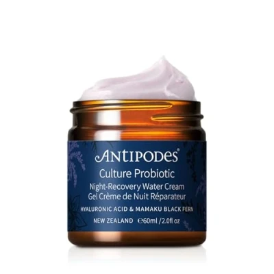 Image of Antipodes Culture Probiotic Night Recovery Water Cream 60ml