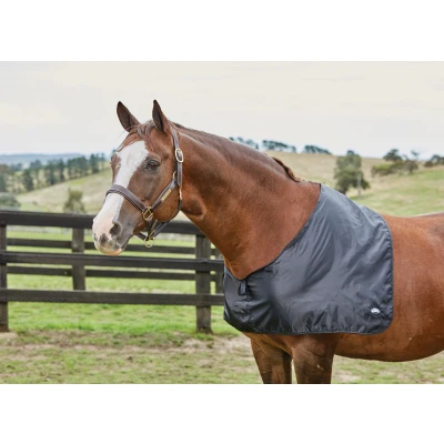 Image of Weatherbeeta Satin Shoulder Guard