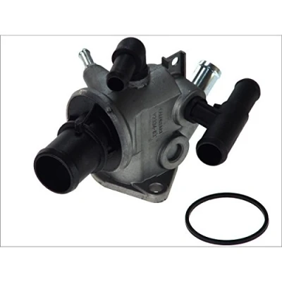 Image of Thermostat, coolant CALORSTAT by Vernet TH6490.83J