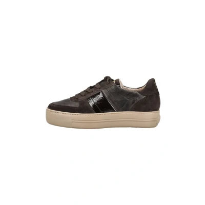 Image of Paul Green Trainers, Women&#039;s, Size: 4, S suede nappa m earth gun Leather