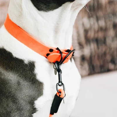 Image of Kentucky Soft Rubber Collar 50 60 cm