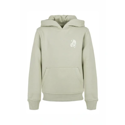 Image of Mister Tee Wildest Dreams Hoodie for kids, Size: 11 12y, Softsalvia