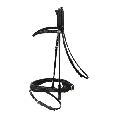 Image of Passier Neptune Bridle
