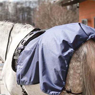 Image of Busse Lunging Rug Rain 50