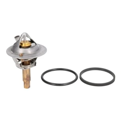 Image of Thermostat, coolant CALORSTAT by Vernet TH6962.90J