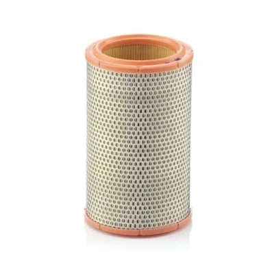Image of Air FILTER MANN C 1387