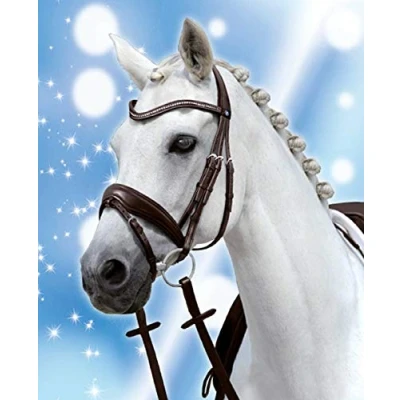 Image of Passier Spirit Bridle