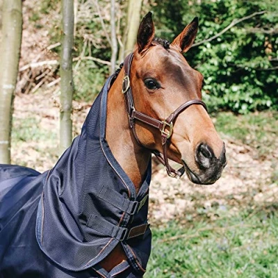 Image of Kentucky Horsewear Neck All Weather Waterproof Pro 0g Navy Large Horse Riding Equestrian