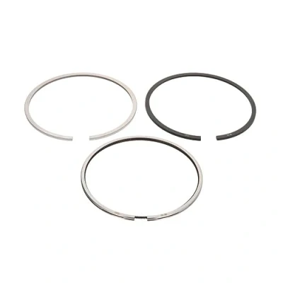Image of Piston Ring Kit KOLBENSCHMIDT 800077310000