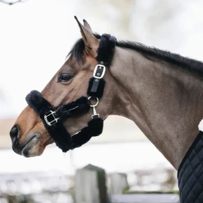 Image of Kentucky Horsewear Sheepskin Headcollar Black Pony Size Horse Halter Riding Equestrian