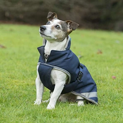 Image of Bucas Freedom Dog Blanket 40, Navy