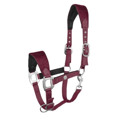 Image of Waldhausen SS25 Halter Rom