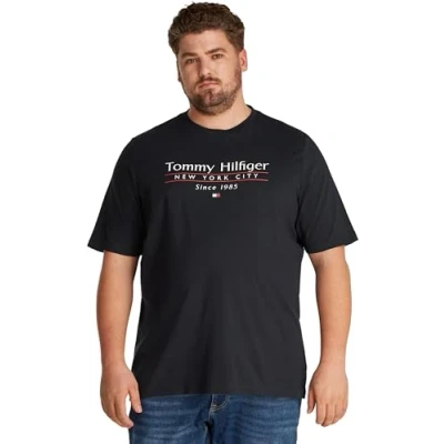 Image of Tommy Hilfiger Center Stack TEE Print Tshirt, Men&#039;s, Size: XXL, Desert sky