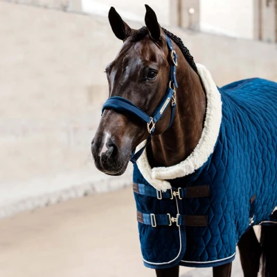 Image of Kentucky Show Rug Velvet 160g Navy