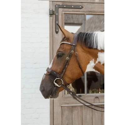 Image of Kentucky Anti Fly Nose Net