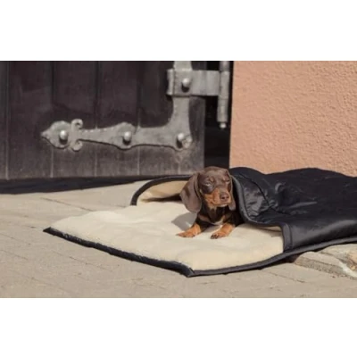 Image of Eskadron FW&#039;24 Heritage Dogbed Teddy