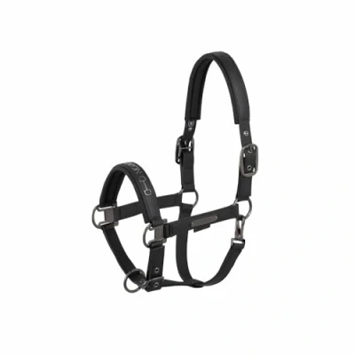 Image of Eskadron Halter Faux Leather Double Pin Black Platinum 2025, Size: P1