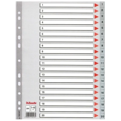 Image of Leitz Esselte 100107 Index for A4, Cardboard Cover and 20 Plastic Dividers, Tabs with Numbers 1 20, Extra Width, Grey