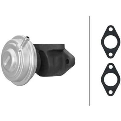 Image of EGR Valve HELLA 6NU 014 865 441