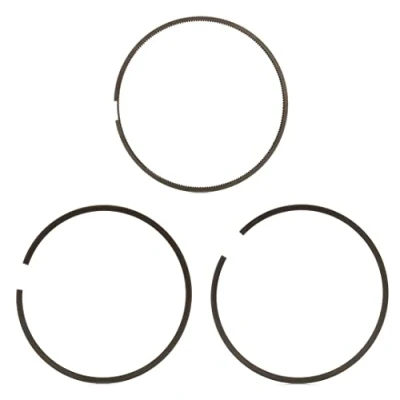 Image of Piston Ring Kit KOLBENSCHMIDT 800110510000