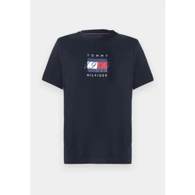 Image of Tommy Hilfiger Linear FLAG Graphic TEE Unisex Print Tshirt, Size: XS, Desert sky