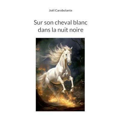 Image of Sur son cheval blanc dans la nuit noire