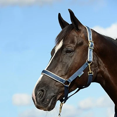 Image of Bucas Dublin Halter Navy / Silver