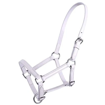 Image of QHP Leather Foal Halter Chico