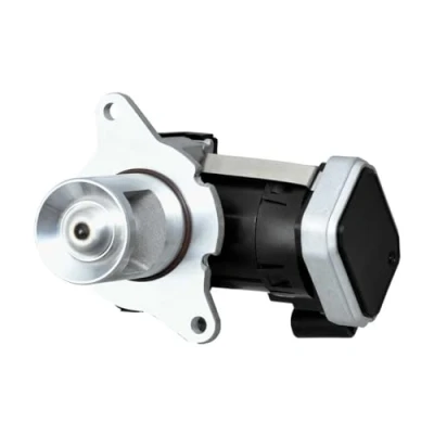 Image of EGR Valve HELLA 6NU 014 864 901
