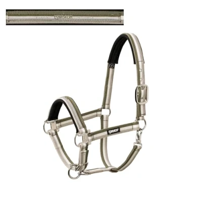 Image of Eskadron Halter pin buckle