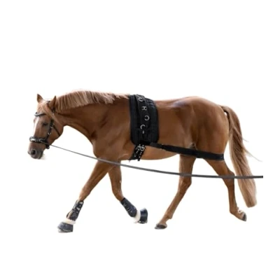 Image of Waldhausen Lunging Band Elastic