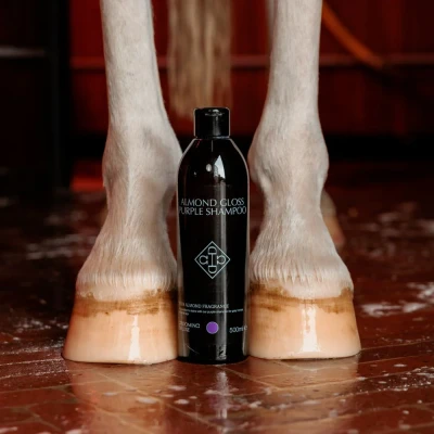 Image of Grooming Deluxe Almond Gloss Purple Shampoo 500ml Horse &amp; Equestrian