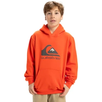 Image of Quiksilver BIG LOGO Hoodie Youth Unisex for kids, Size: 8y, Chamois