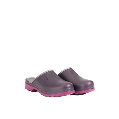 Image of Aigle Women&#039;s Taden 2 Clog, Aubergine Dahlia, 4 UK