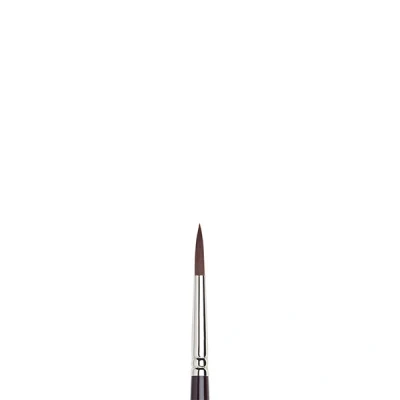 Image of Winsor &amp; Newton Brush, Synthetic fibres, 6