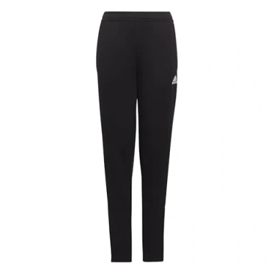 Image of adidas Performance Entrada 22 Tracksuit bottoms for kids, Size: 13 14y, Black